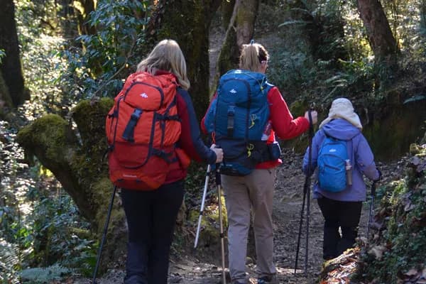 Group of three trekkers carrying heavy backpacks and using trekking poles hiking along a forest trail in Nepal.