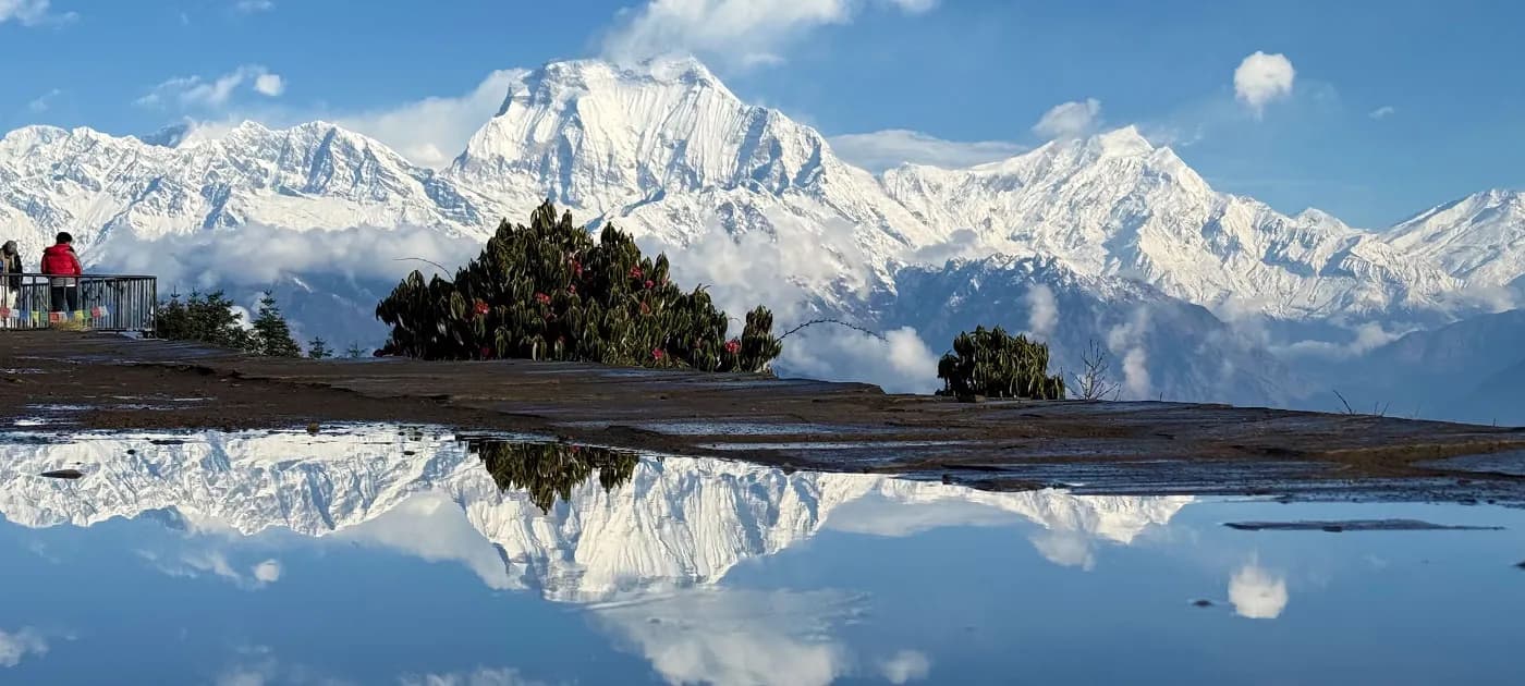 A clear water reflection of the snow-covered Dhaulagiri and Annapurna mountain range under a blue sky at the Poon Hill viewpoint in Nepal.