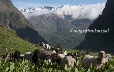 far west nepal tourism in nepal