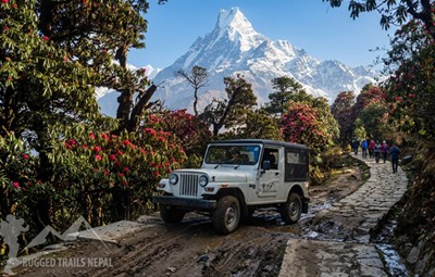 A Rugged Trails Nepal 4x4 Jeep navigating the off-road trail to Ghorepani surrounded by blooming red rhododendron forests and the Machhapuchhre (Fishtail) mountain peak.
