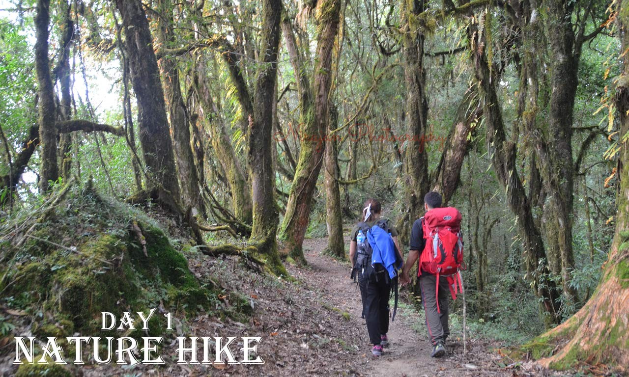 mardi himal trek itinerary from dhampus village