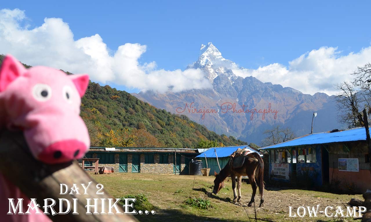 3 days mardi himal trek itinerary view from low camp