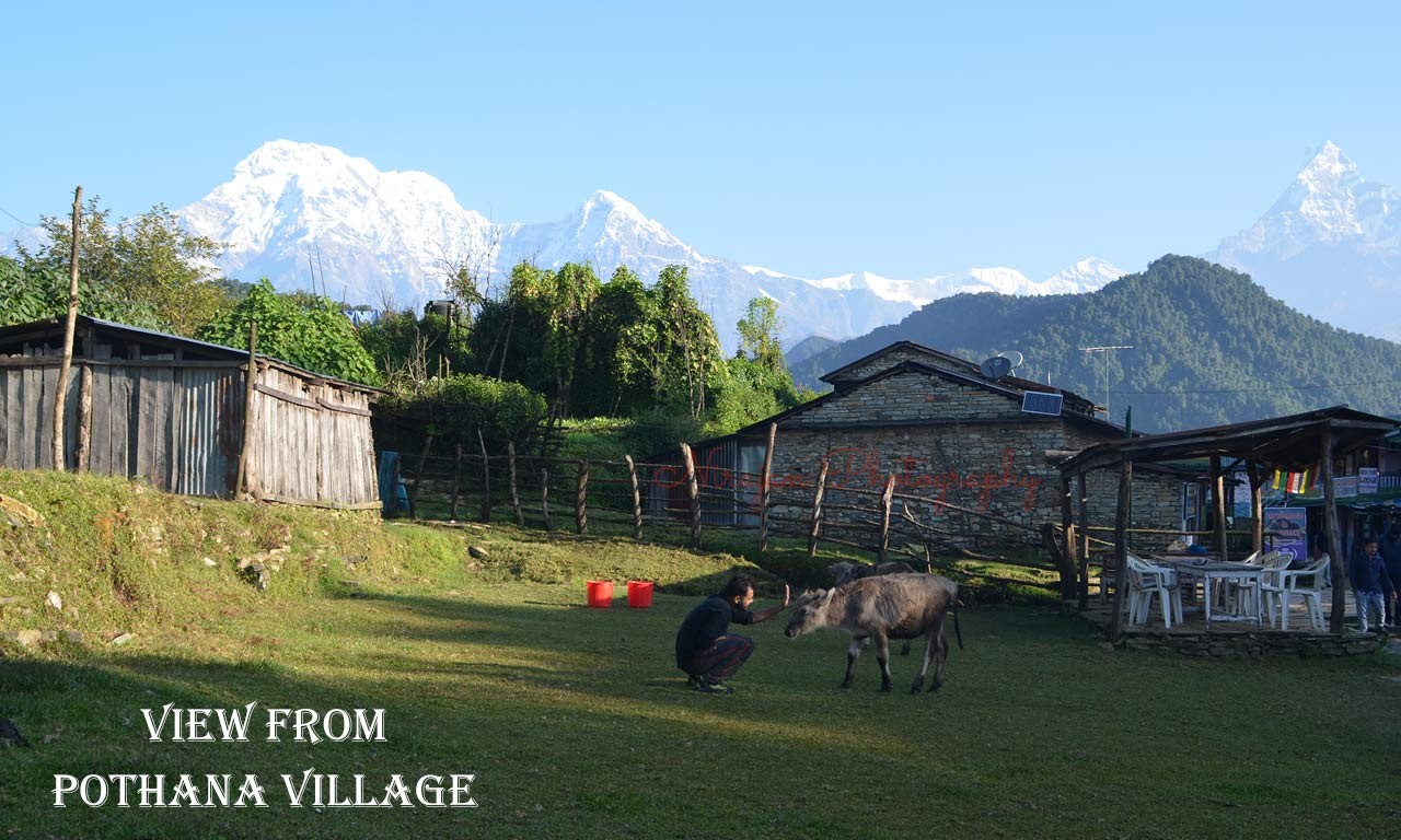 3 day mardi himal trek itinerary view from pothana