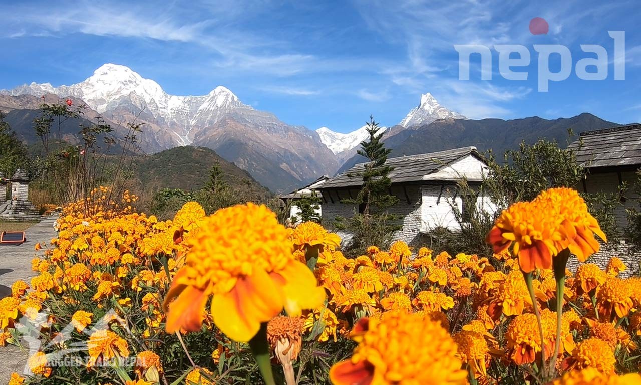 ghandruk village cottage and lodges