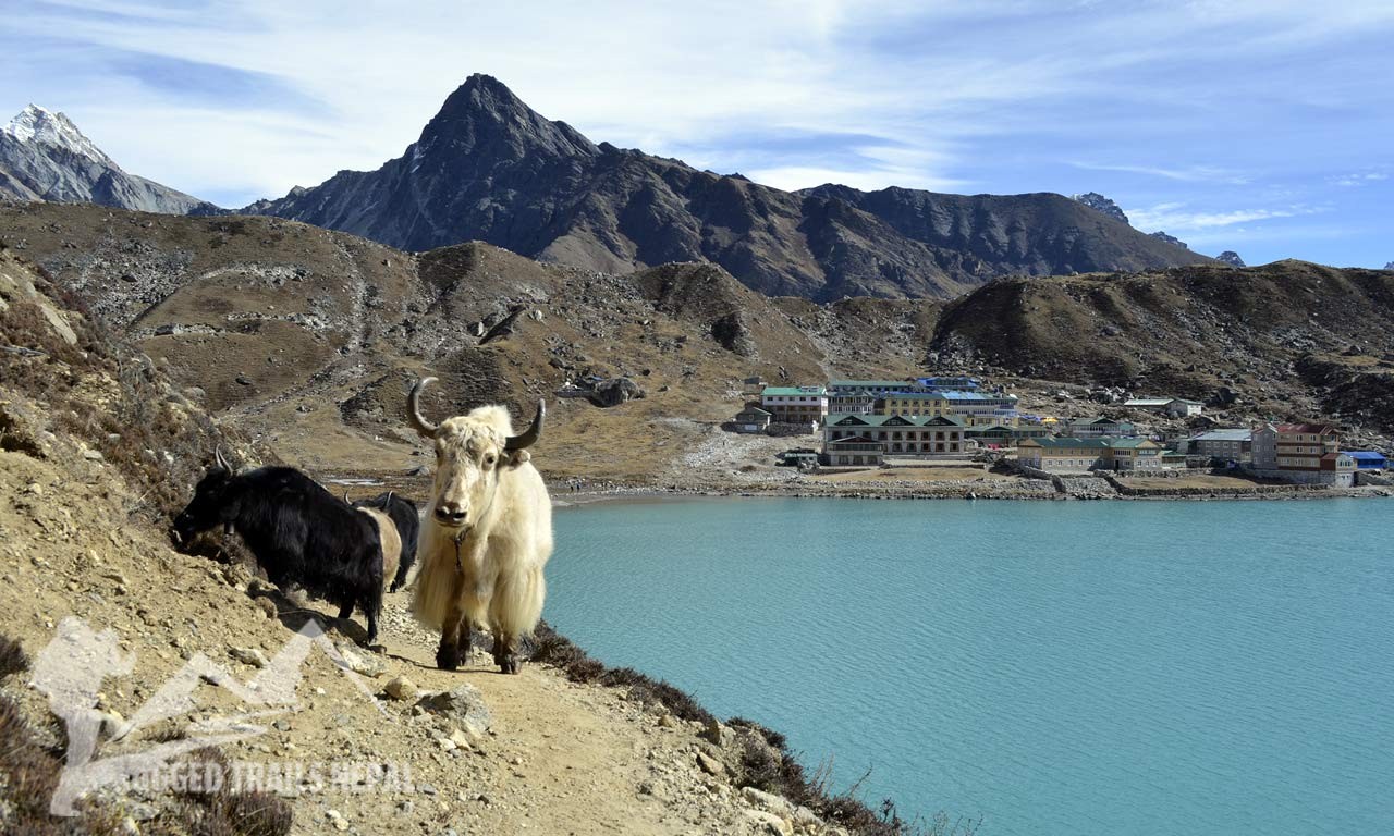 3 pass trek nepal everest base camp gokyo