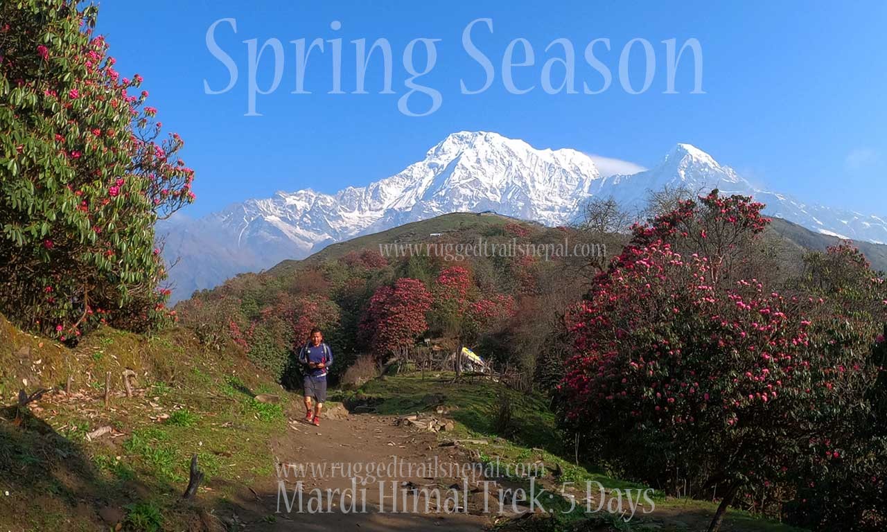 trekking in nepal mardi himal base camp5 days