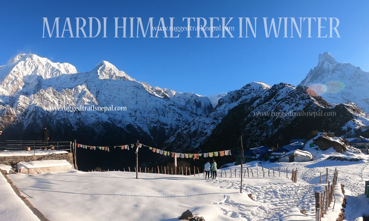 winter trek in nepal mardi himal