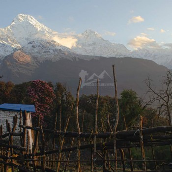 Ghorepani Poon Hill Trek/ Spring Season view from Tadapani