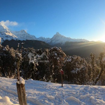 Ghorepani Poon Hill Trek / Winter season