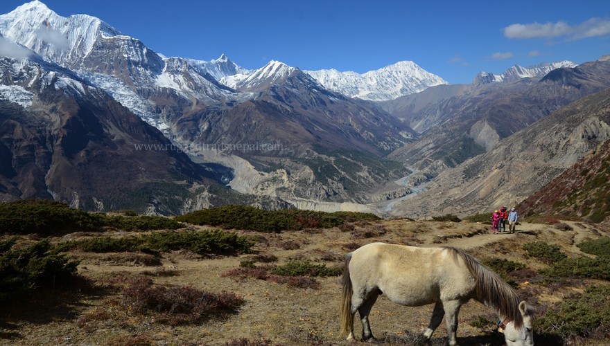 annapurna circuit trek