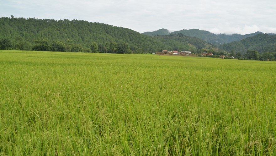 balthali village trek