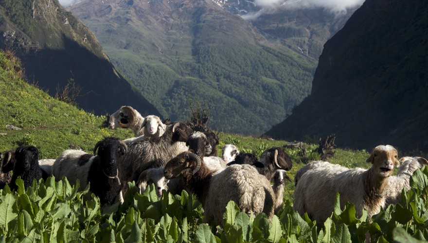 barun valley trek nepal