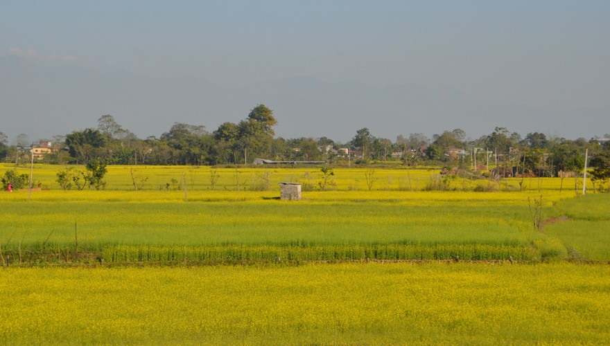 chepang hill trekking