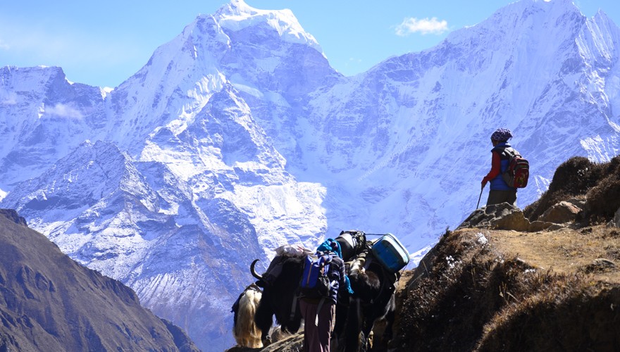 ebc gokyo chola pass trek