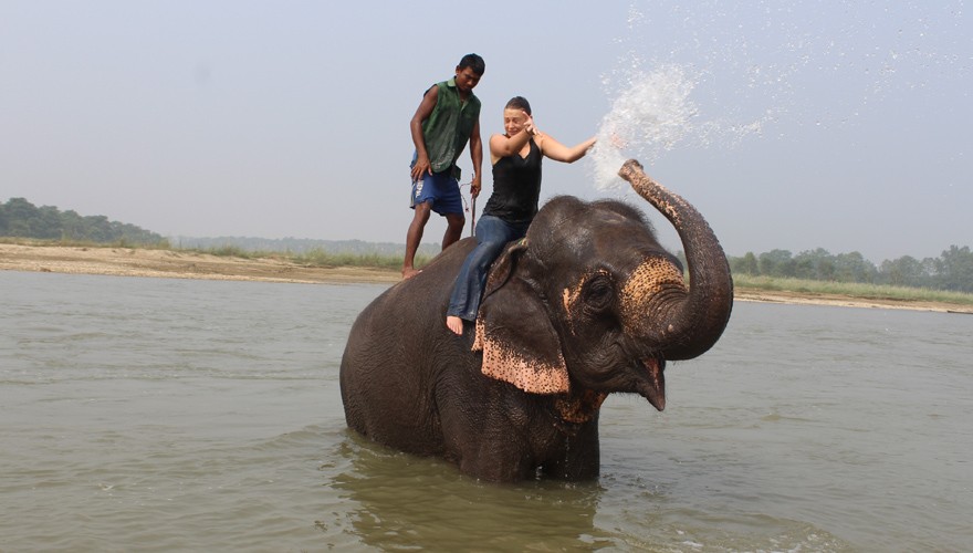 elephant bathing tour chitwan