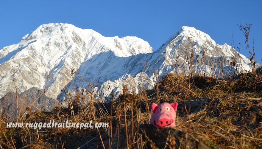 ghorepani ghandruk mardi himal trek