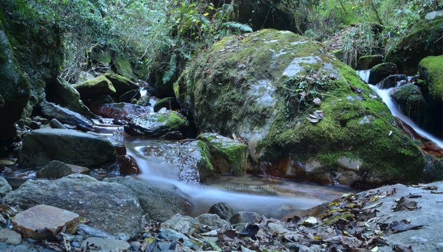 ghorepani nature trek