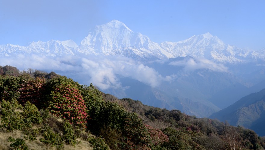 ghorepani spring photography trek