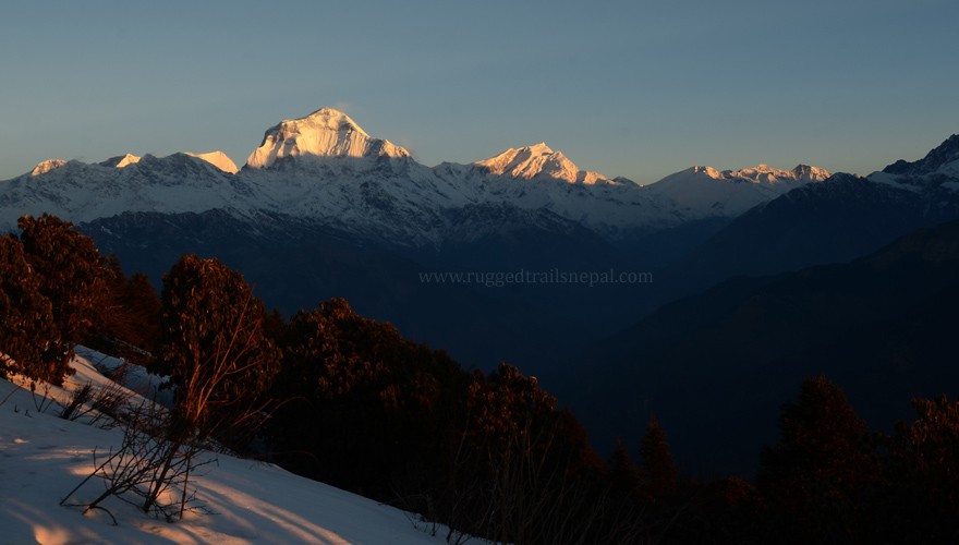 ghorepani sunrise tour