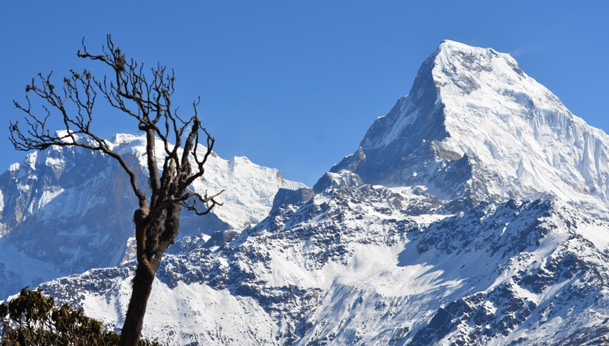 ghorepani trek with city tour