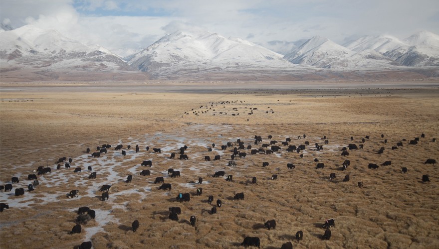 kailash mansarovar yatra from nepal