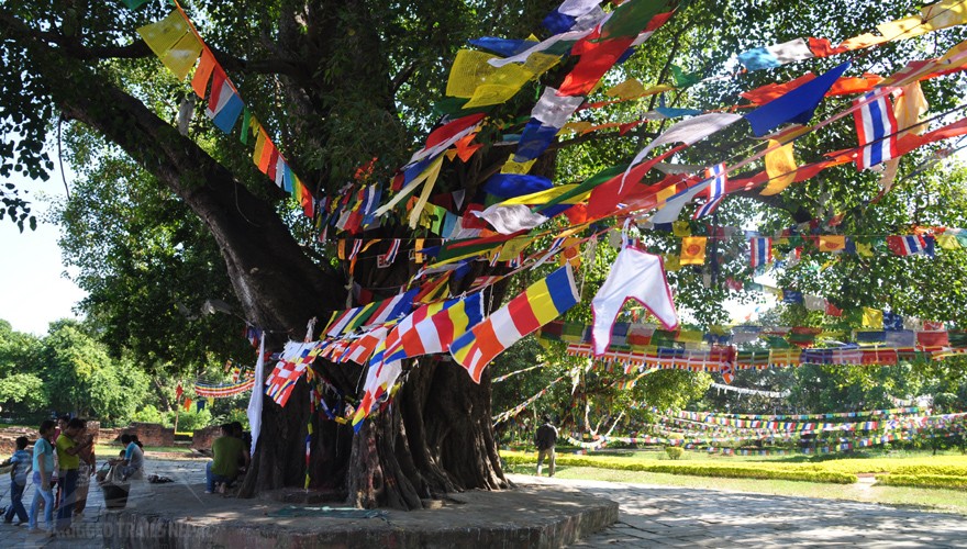 lumbini tour package