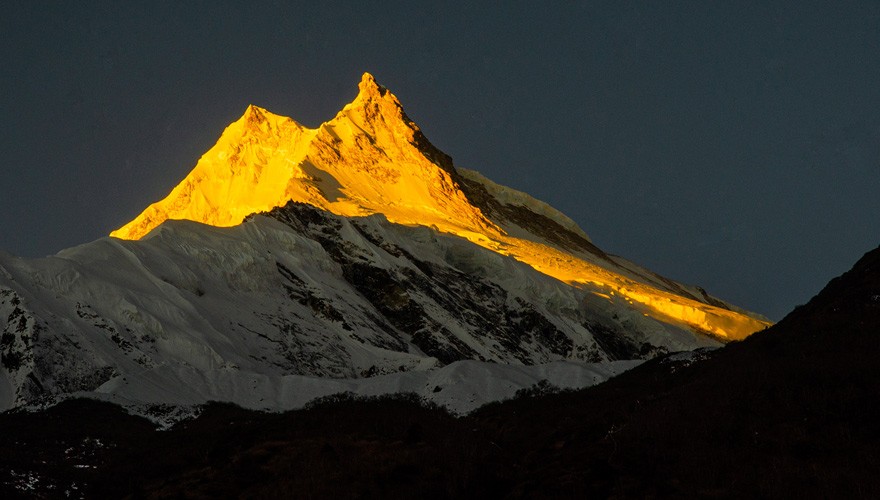 Stunning golden sunset (Alpenglow) hitting the jagged, snow-covered ridges of Mt. Manaslu during the trek toward Larkya La Pass.