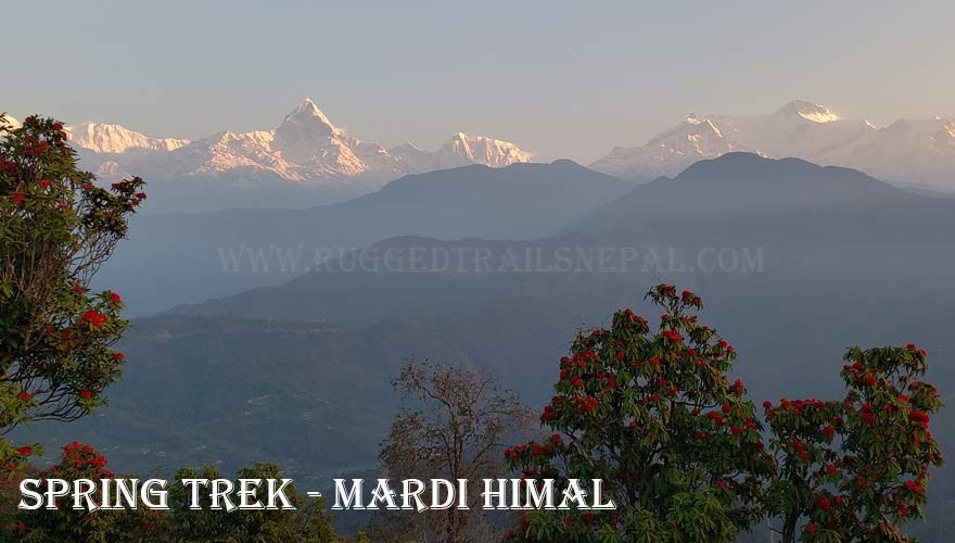 mardi himal spring trek 10 days