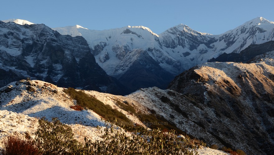 mardi himal trek