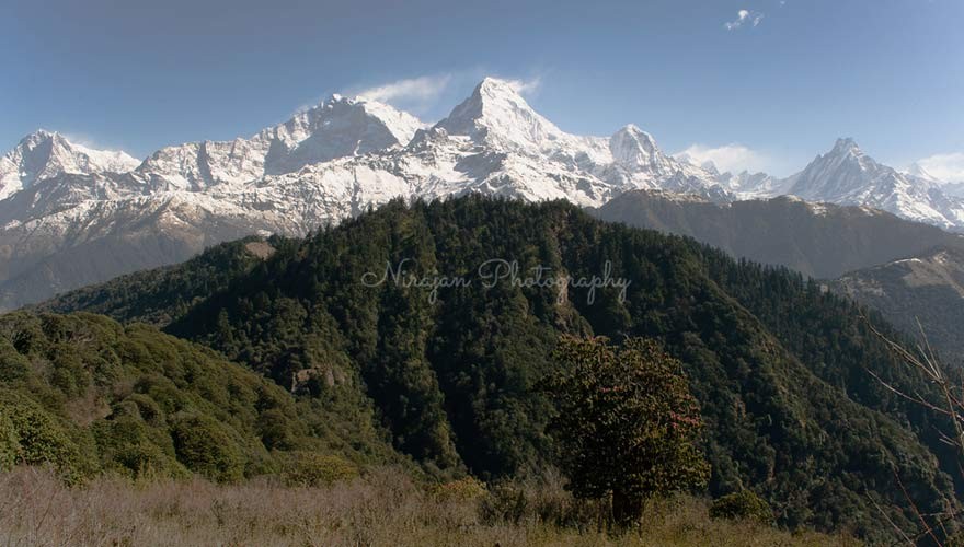 mohare danda trek 4 days