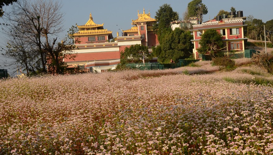 Monastery Tour Kathmandu