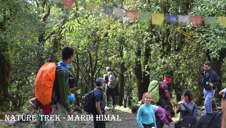 nature trek in nepal mardi himal