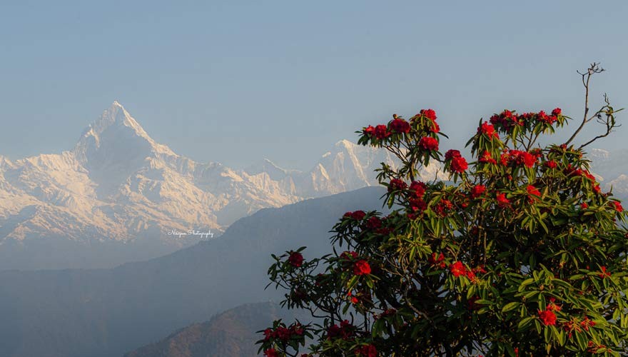 nepal tour package during spring season