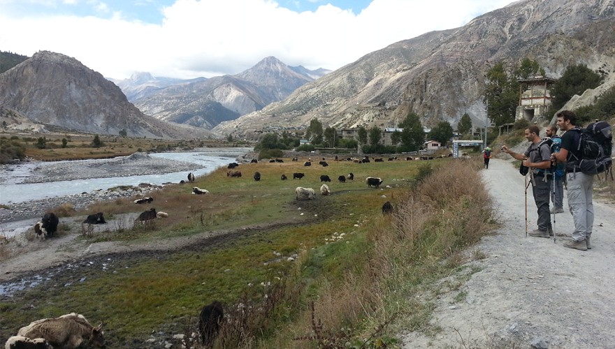 short annapurna circuit trek manang