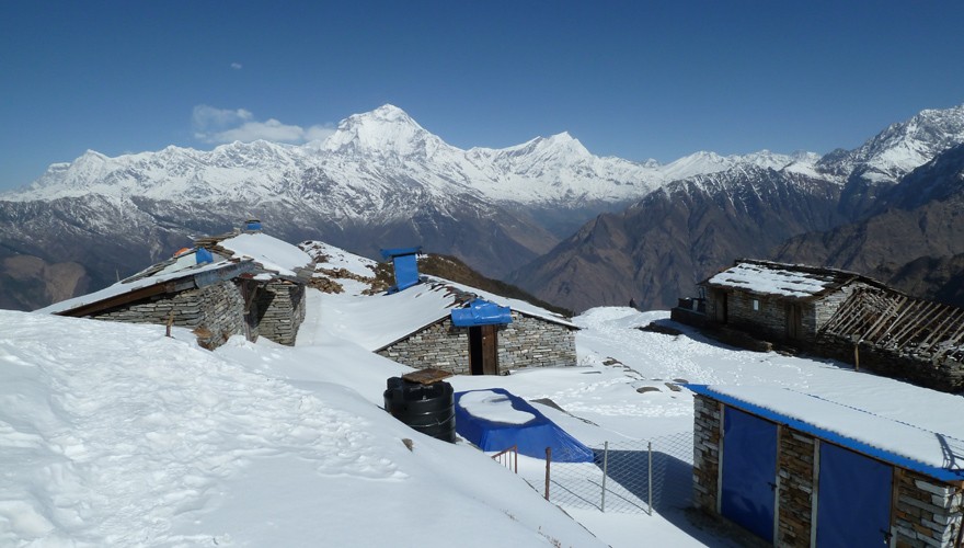 short khopra danda trek