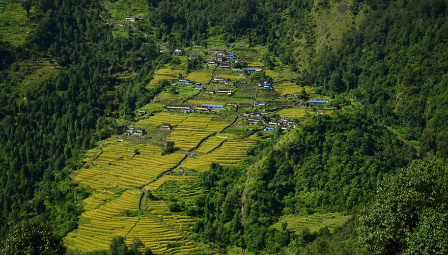 trekking in nepal annapurna foothill