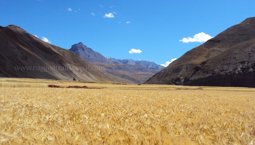 upper dolpo trekking nepal