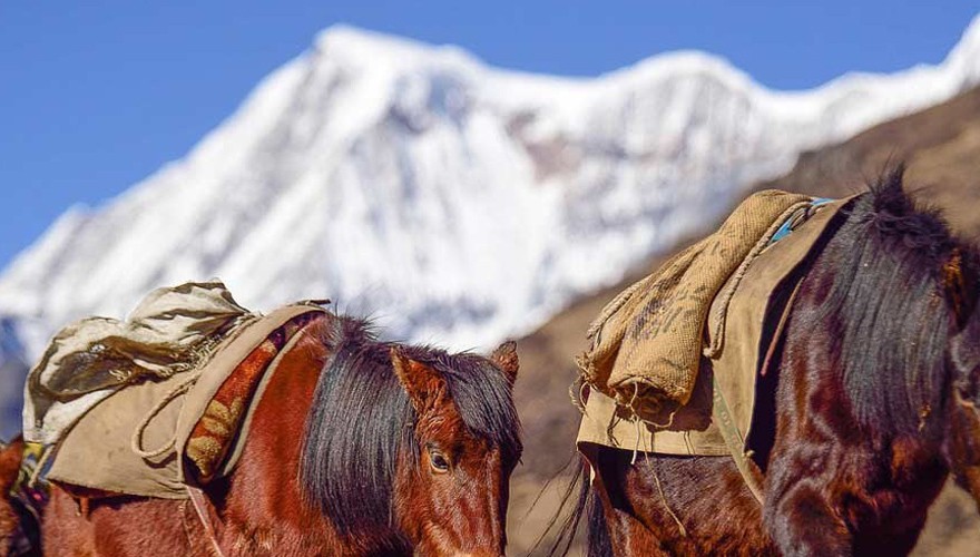 yaksa trek in bhutan