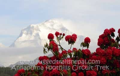 Annapurna Foothills Circuit Trek