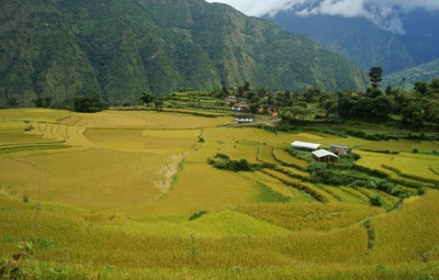 barun valley trekking