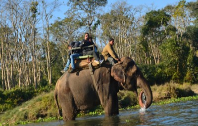 chitwan-national-park-safari