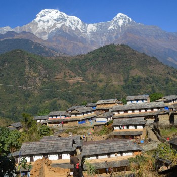 Traditional stone houses of Ghandruk village with Annapurna South and Machhapuchhre mountain views during the ABC trek.