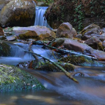 ghorepani poon hill nature trek