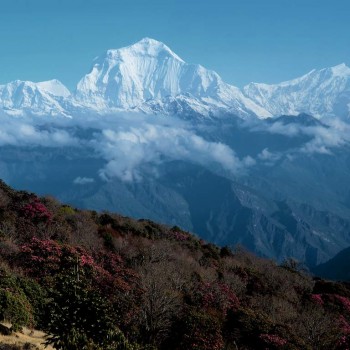 ghorepani poon hill trek 4 days landscapes