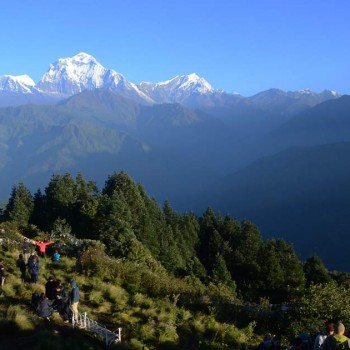 ghorepani poon hill trek 4 days