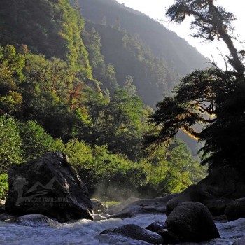 langtang valley trek reiview