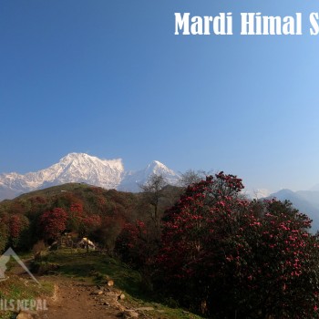 mardi himal annapurna base camp spring trek