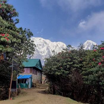 mardi himal trek-badal danda