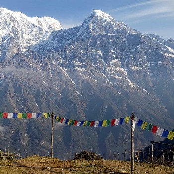 mardi himal trek - High Camp