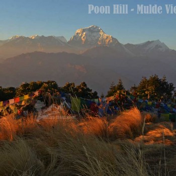 poon hill mulde viewpoint trek